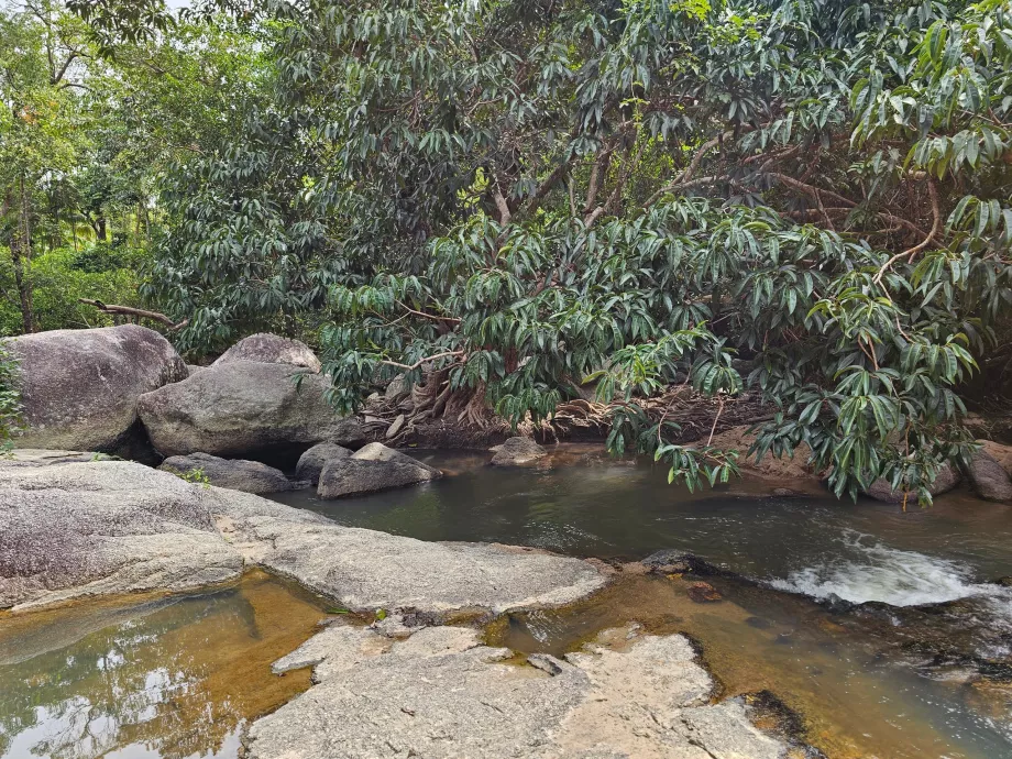 NP Namtok Than Sadet