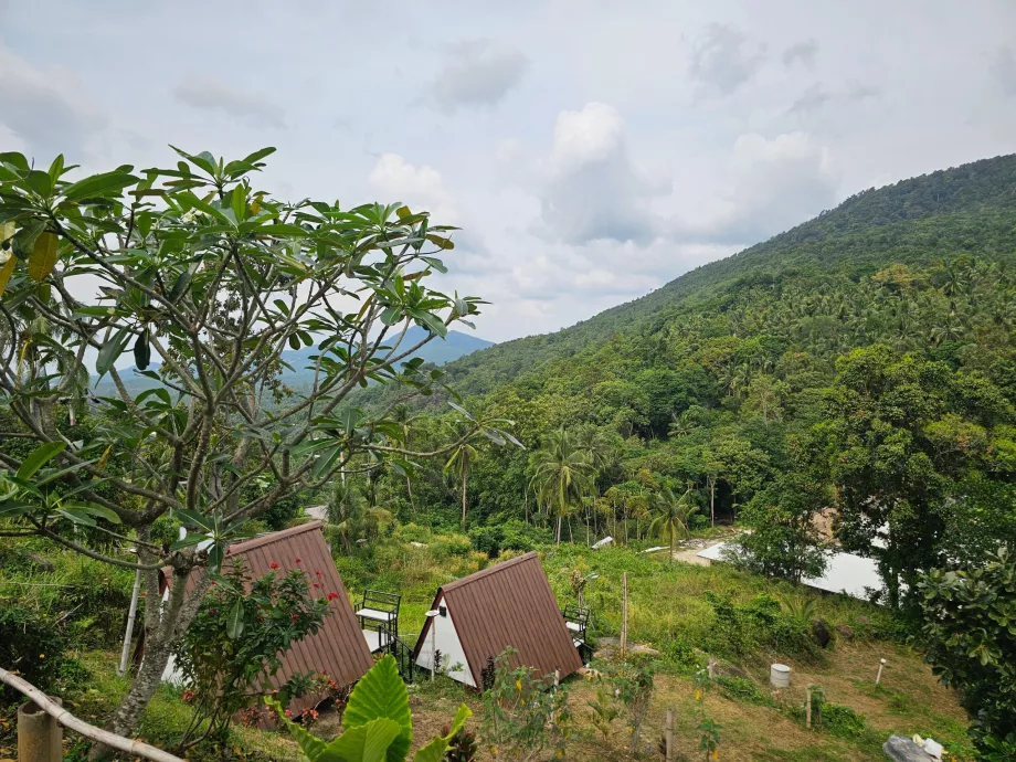 Džungľa vo vnútrozemí ostrova Koh Phangan