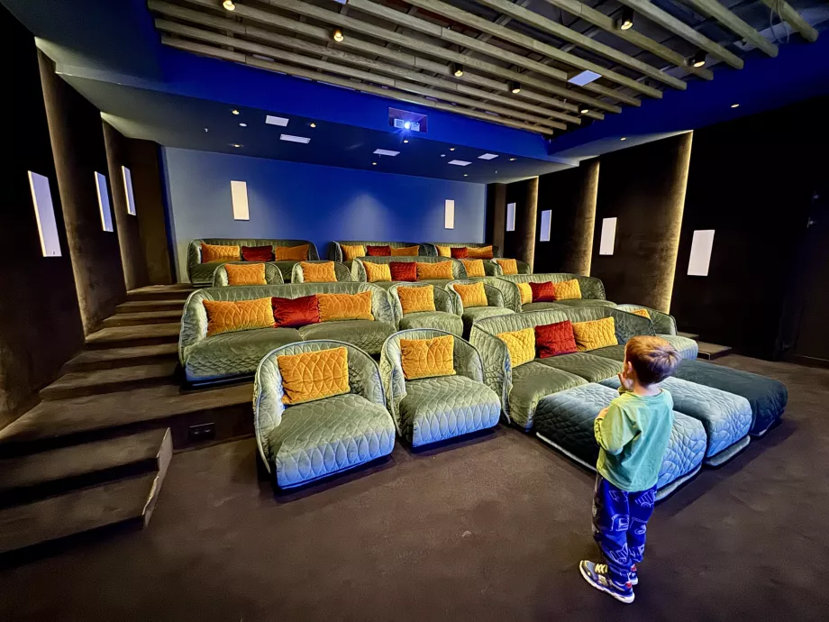 Swissotel Damian Jasná kino