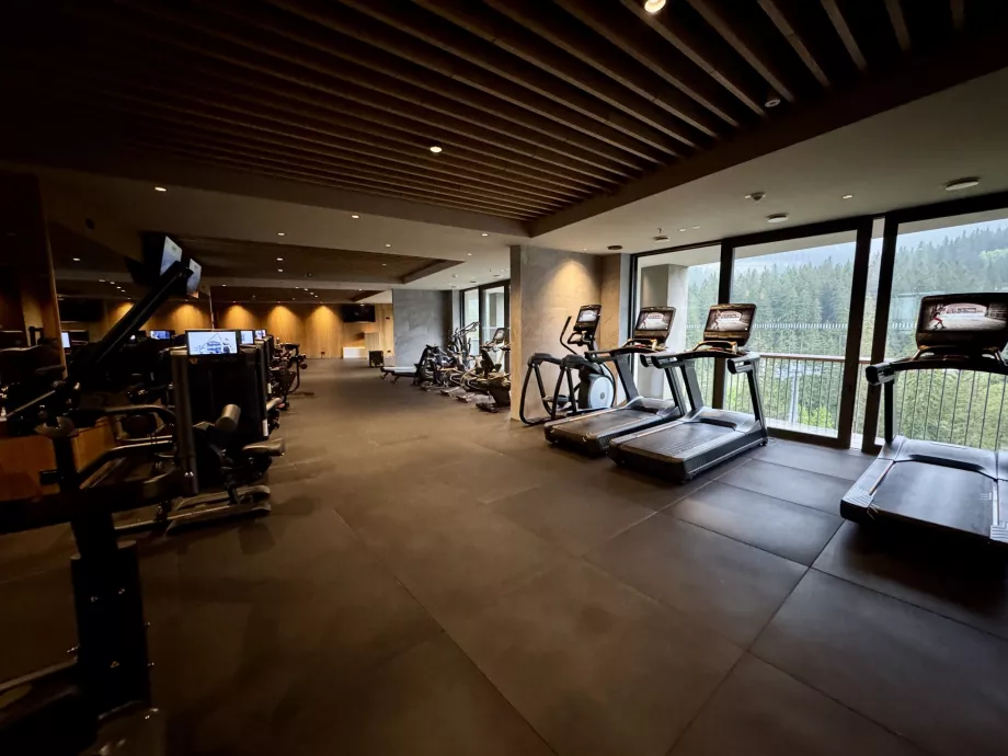 Fitness centrum Swissotel Damian Jasná