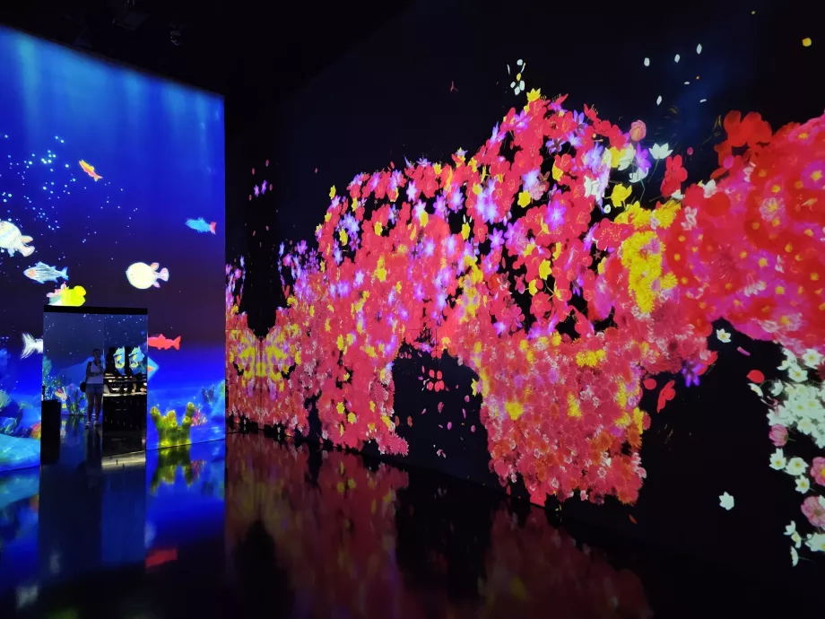 Múzeum umenia a vedy