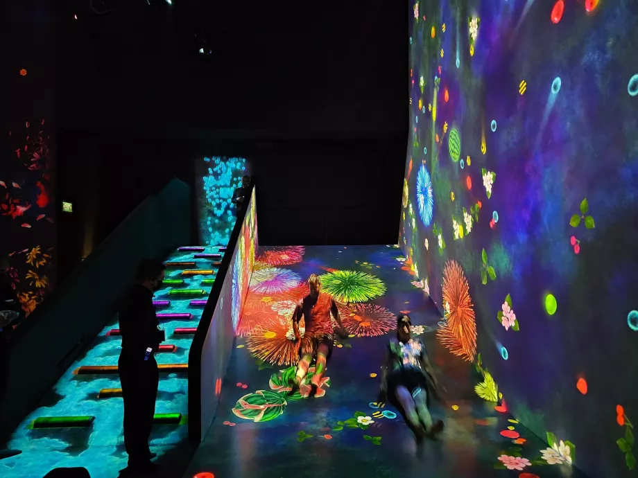 Múzeum umenia a vedy