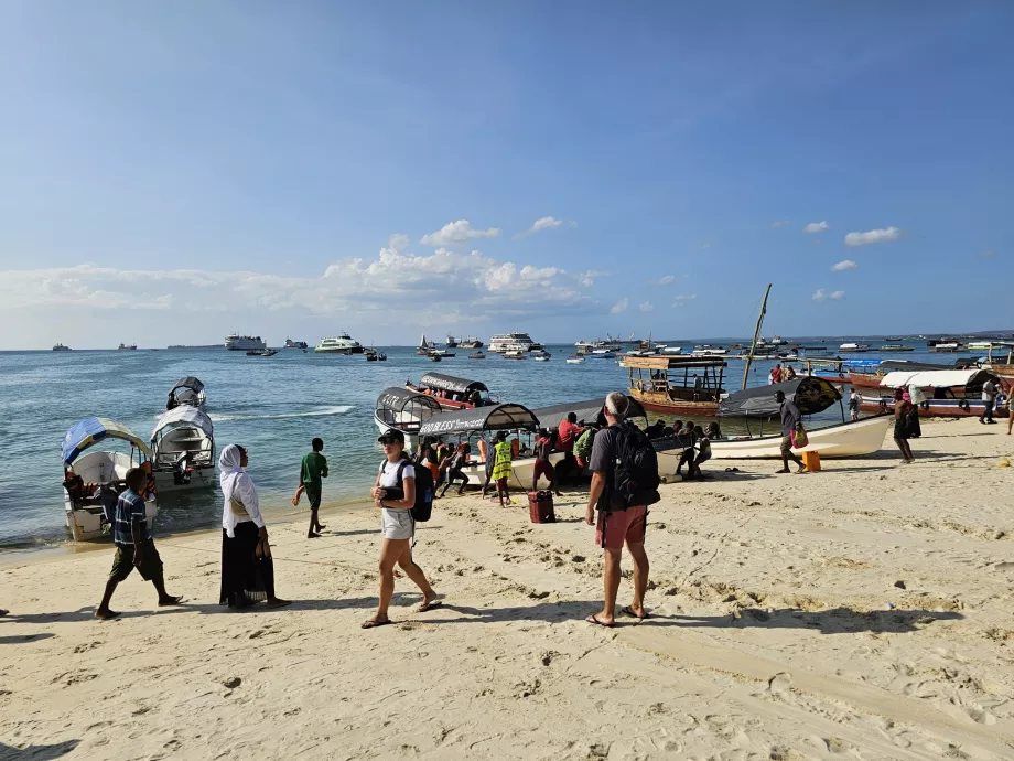 Plavby na ostrov Prison Island a Nakupenda Sandbank