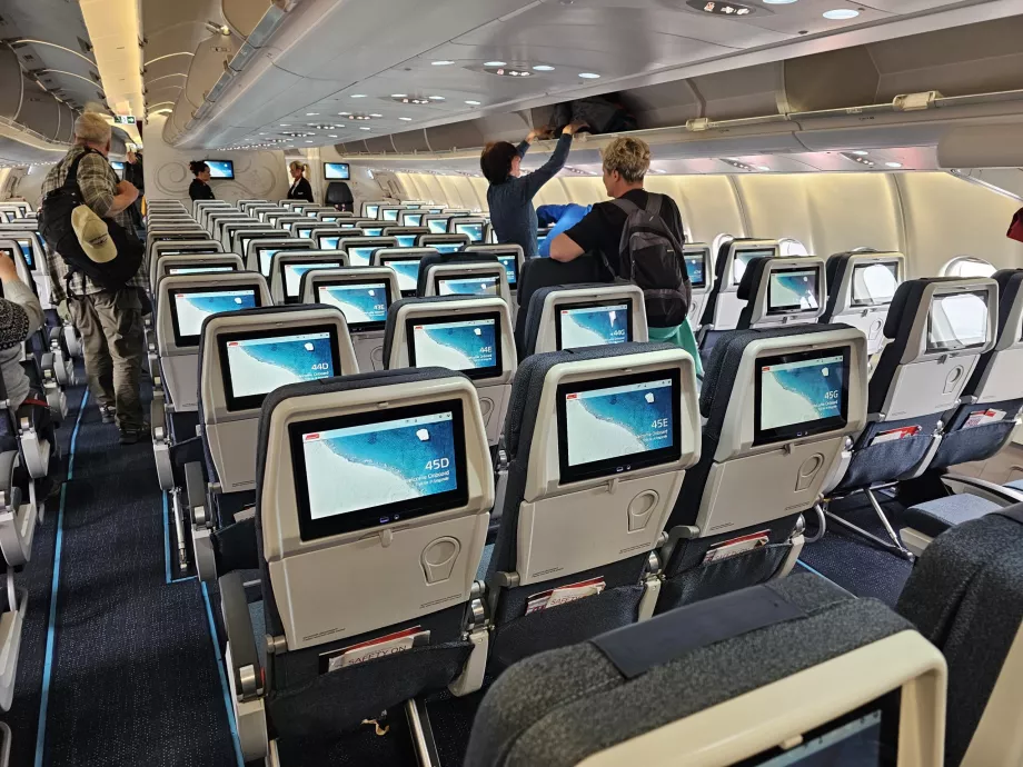 Ekonomická trieda, Airbus A330-800