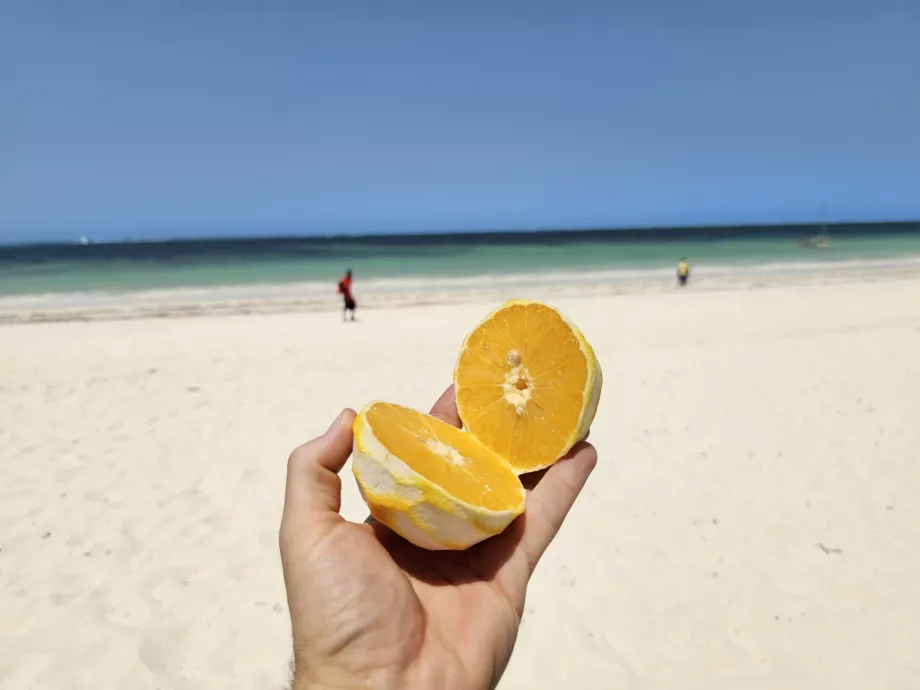 Oranžová na pláži Kiwengwa