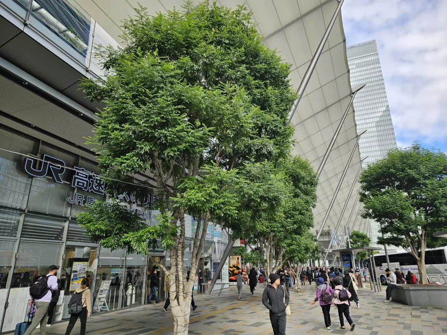 Tokijská hlavná autobusová stanica