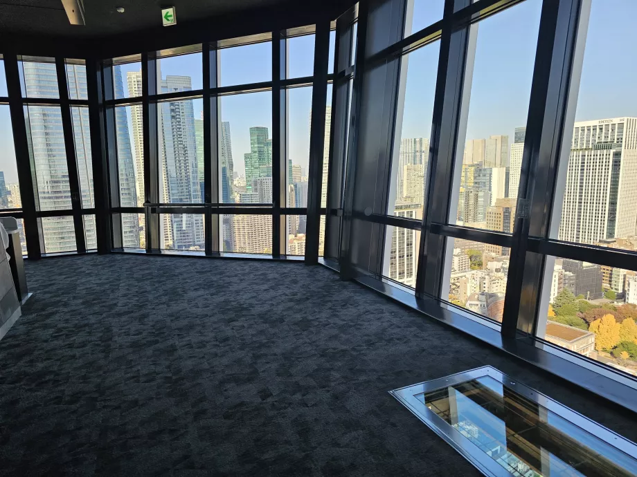 Hlavná pozorovacia plošina