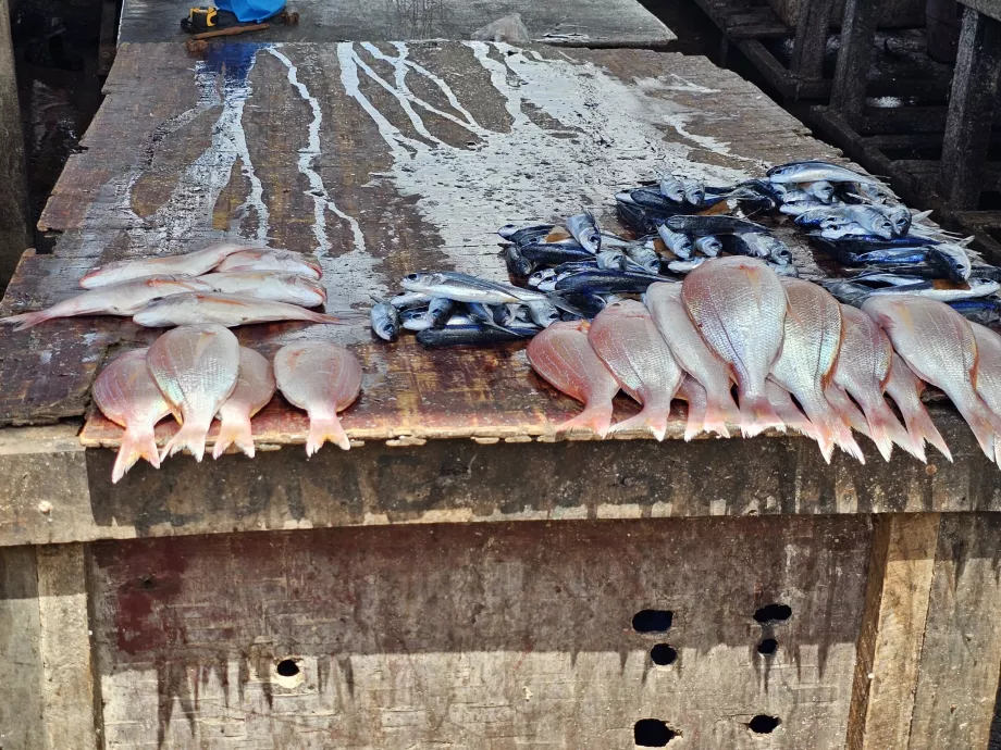 Trh s rybami Ferry Fish Market