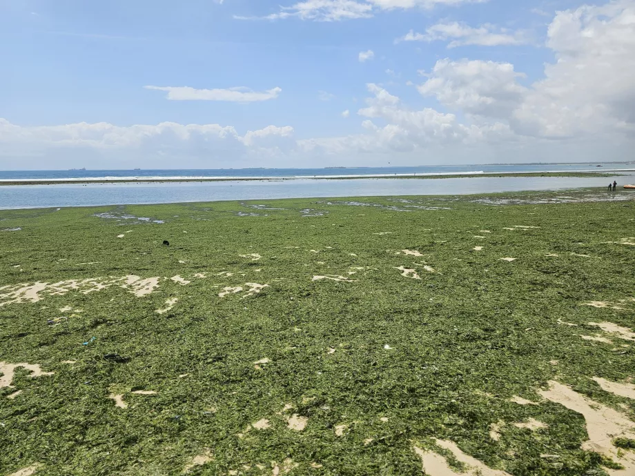 Pláž Coco Beach