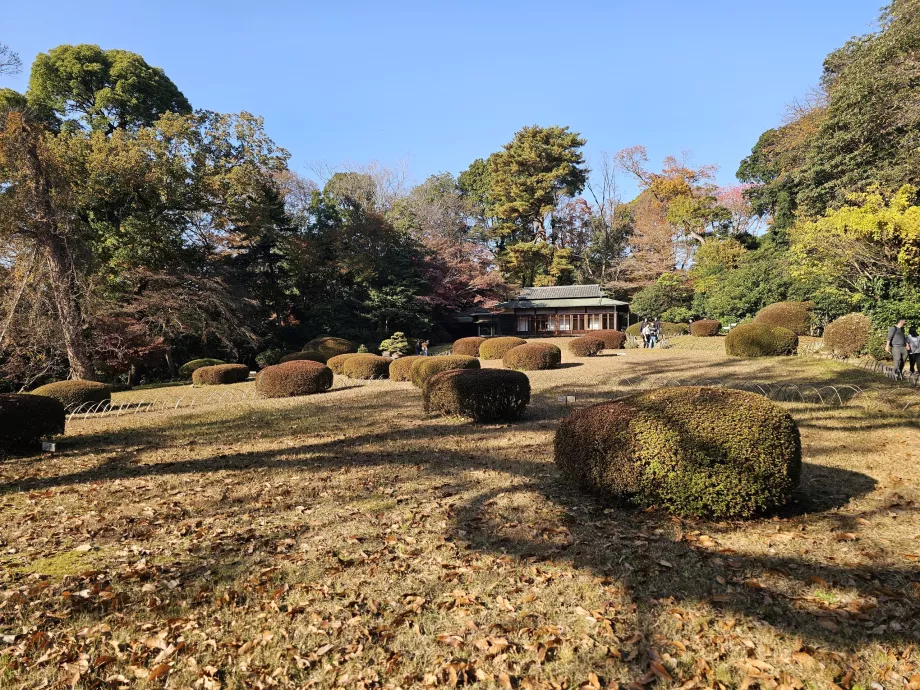 Kiyomasa Well