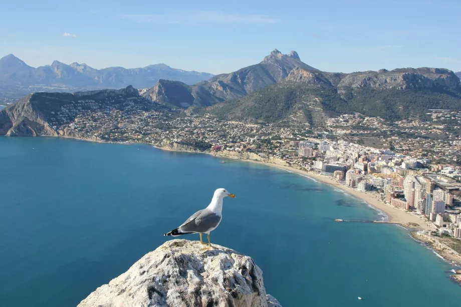Calp, Alicante