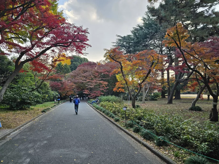 Národná záhrada Shinjuku Gyoen
