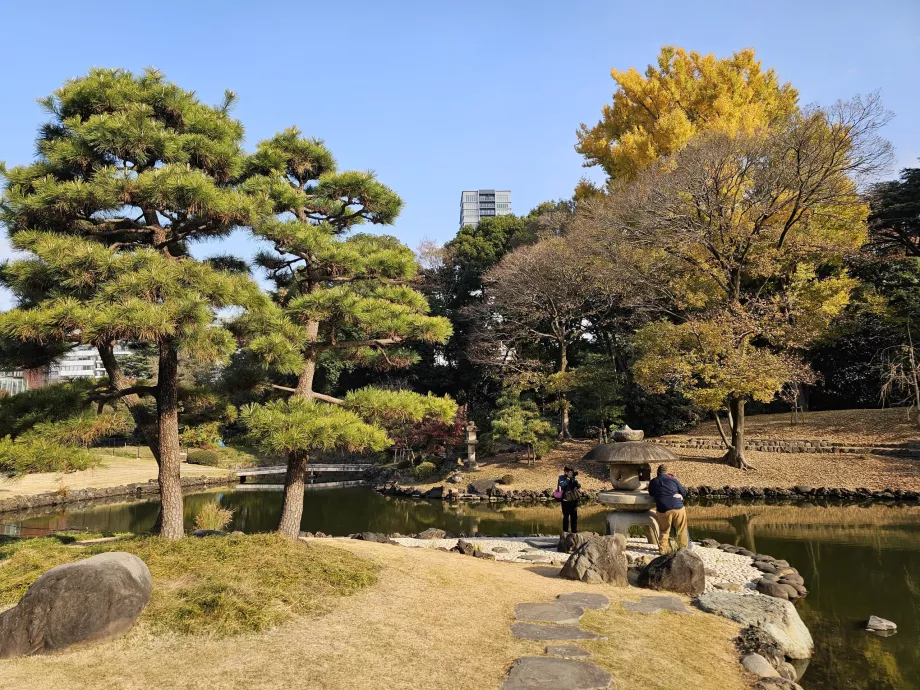 Národná záhrada Shinjuku Gyoen
