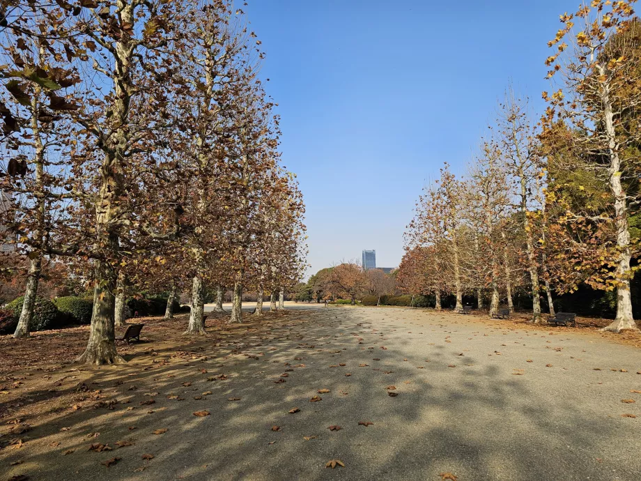 Národná záhrada Shinjuku Gyoen