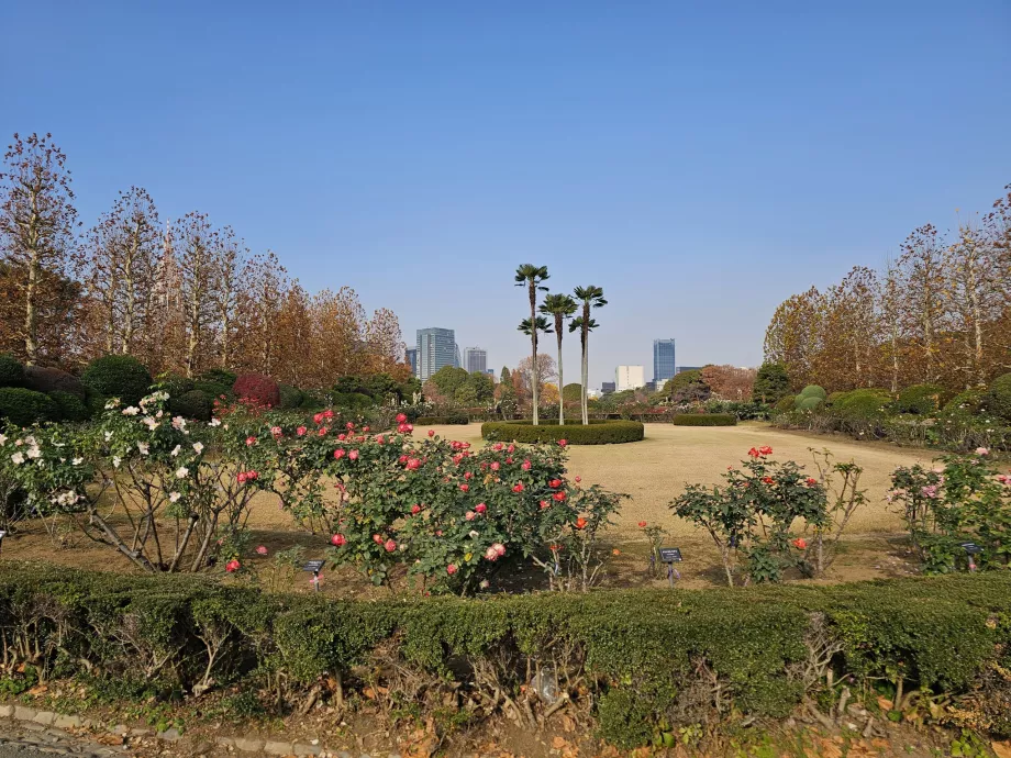 Národná záhrada Shinjuku Gyoen