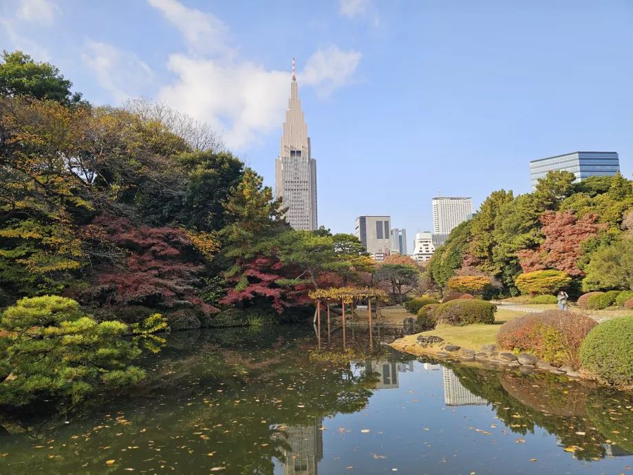 Národná záhrada Shinjuku Gyoen