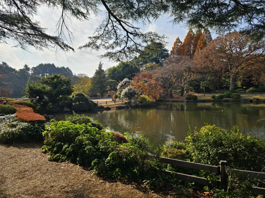 Národná záhrada Shinjuku Gyoen