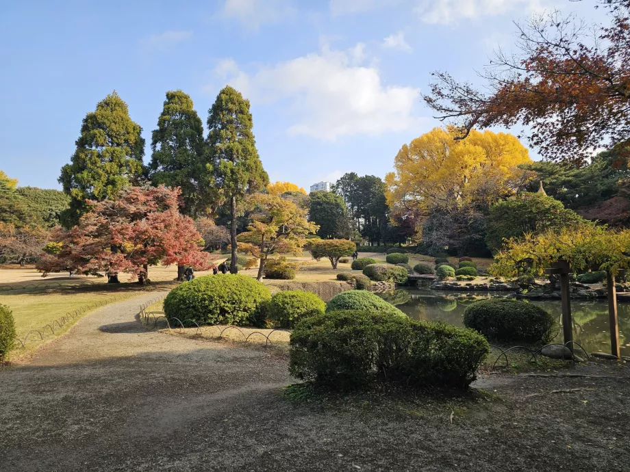 Národná záhrada Shinjuku Gyoen