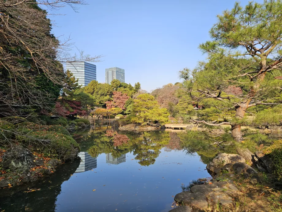 Národná záhrada Shinjuku Gyoen