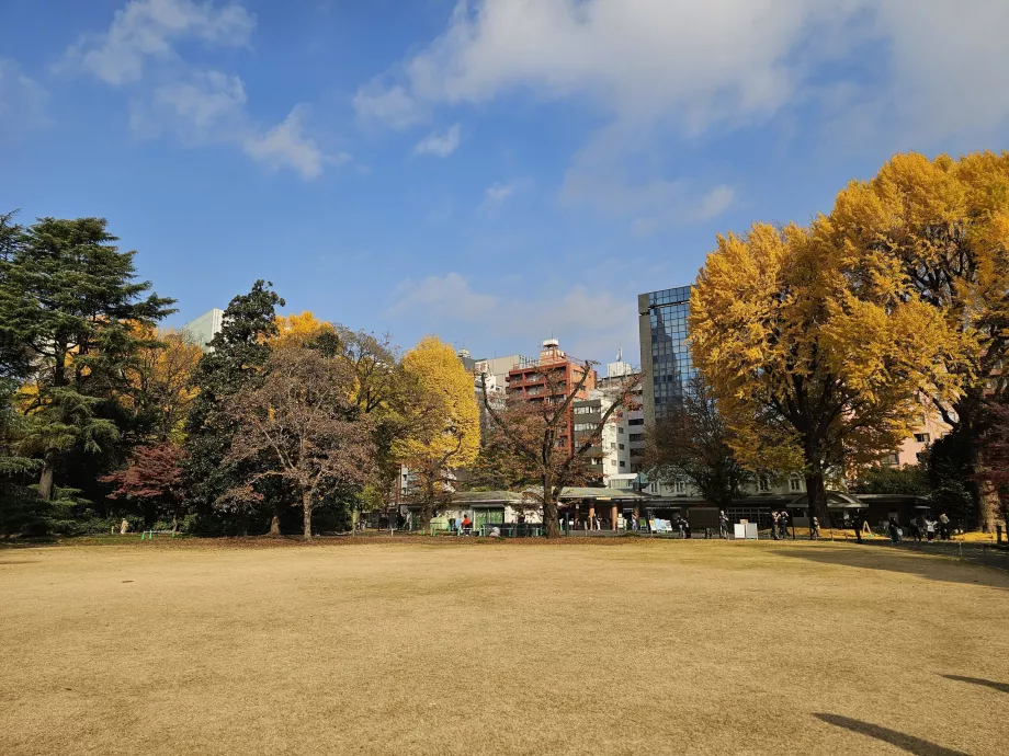 Národná záhrada Shinjuku Gyoen