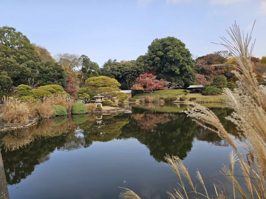 Národná záhrada Shinjuku Gyoen