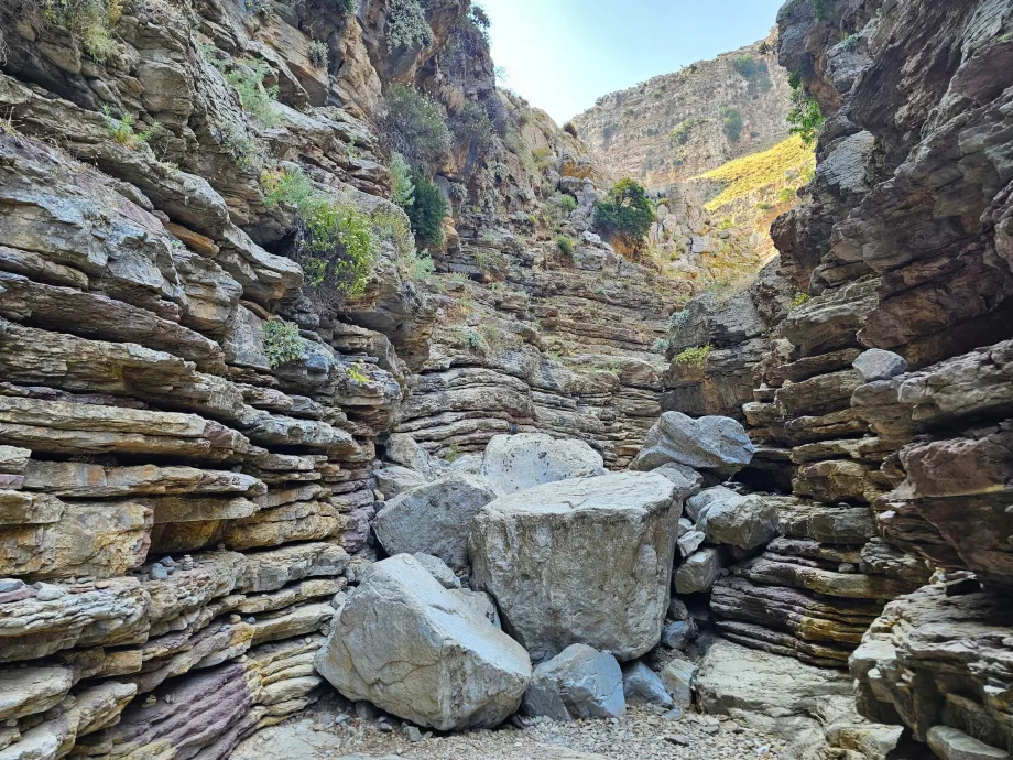 Kaňon Jacob's