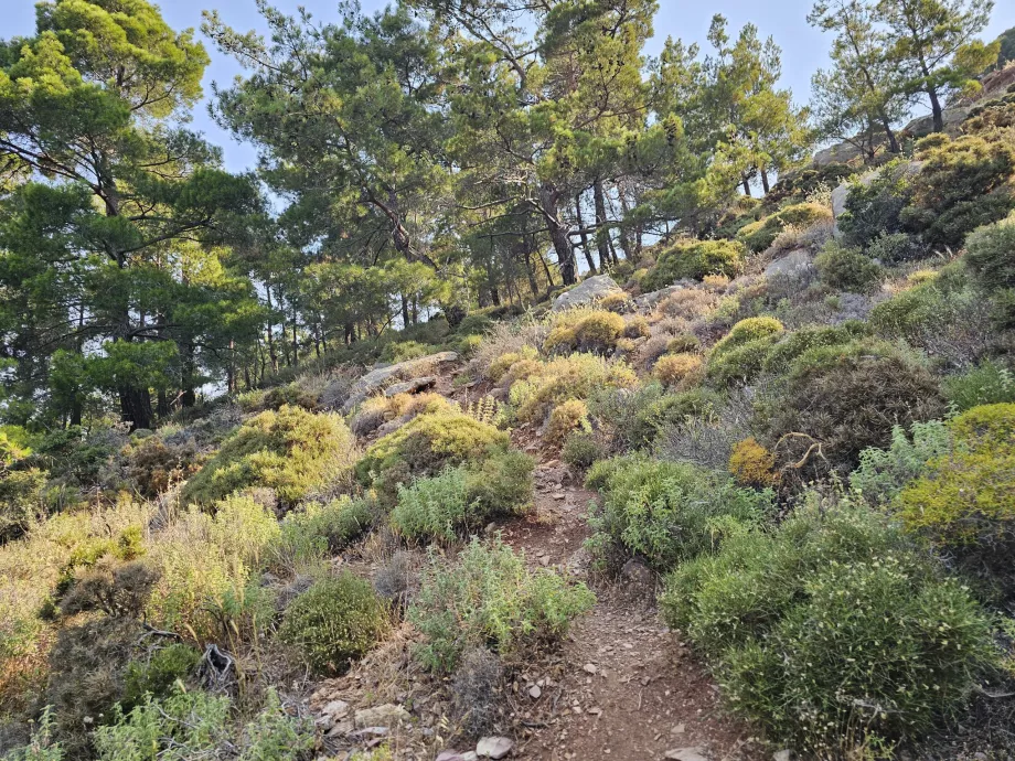 Cestovný ruch Rhodos