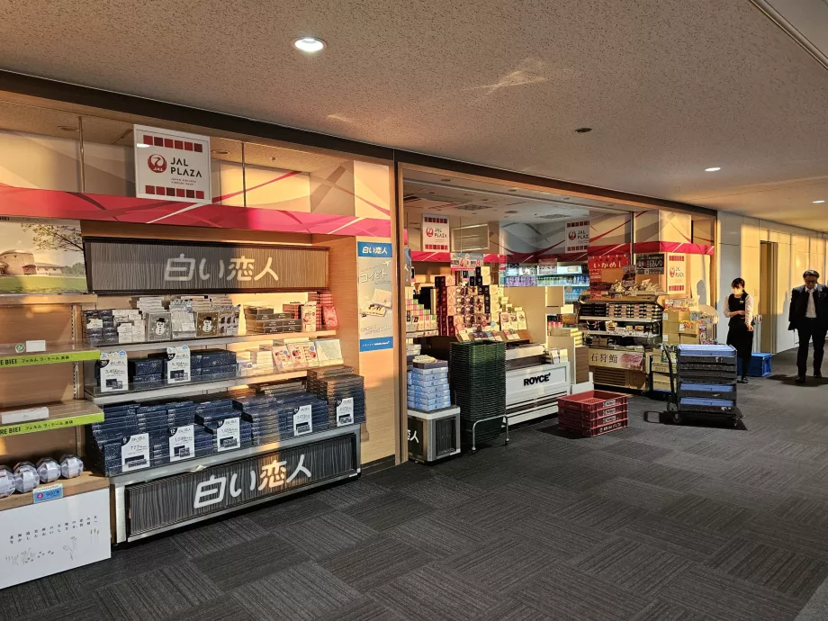 Minimarket JAL Plaza, vnútroštátna tranzitná zóna