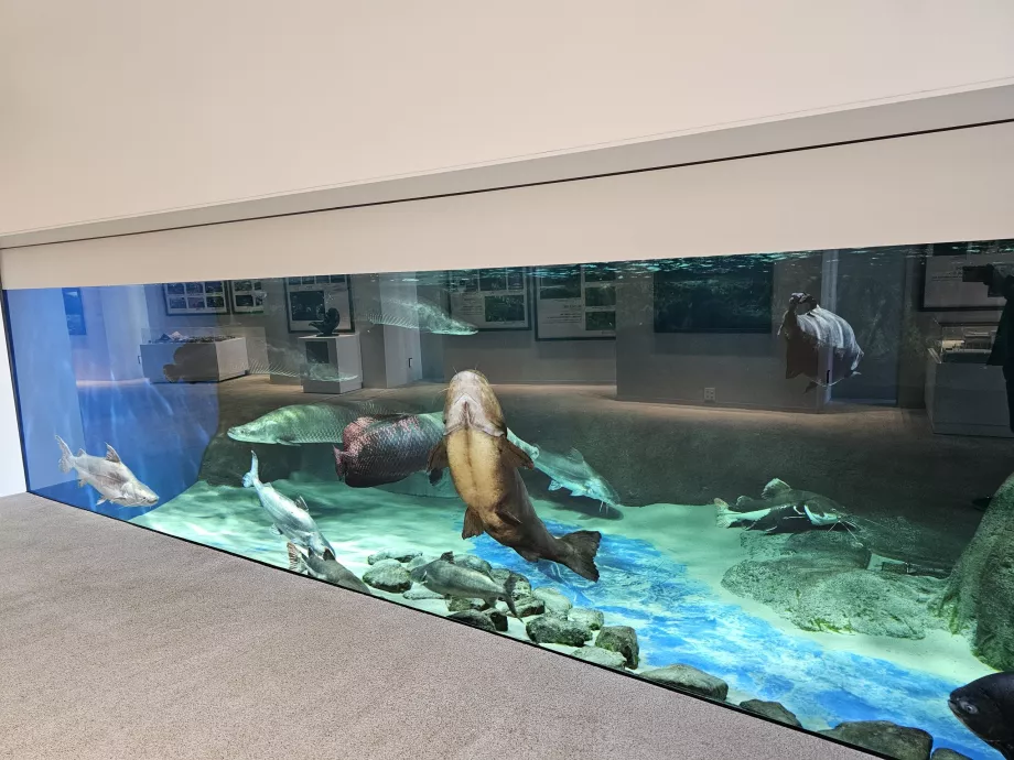 Suma za morský svet