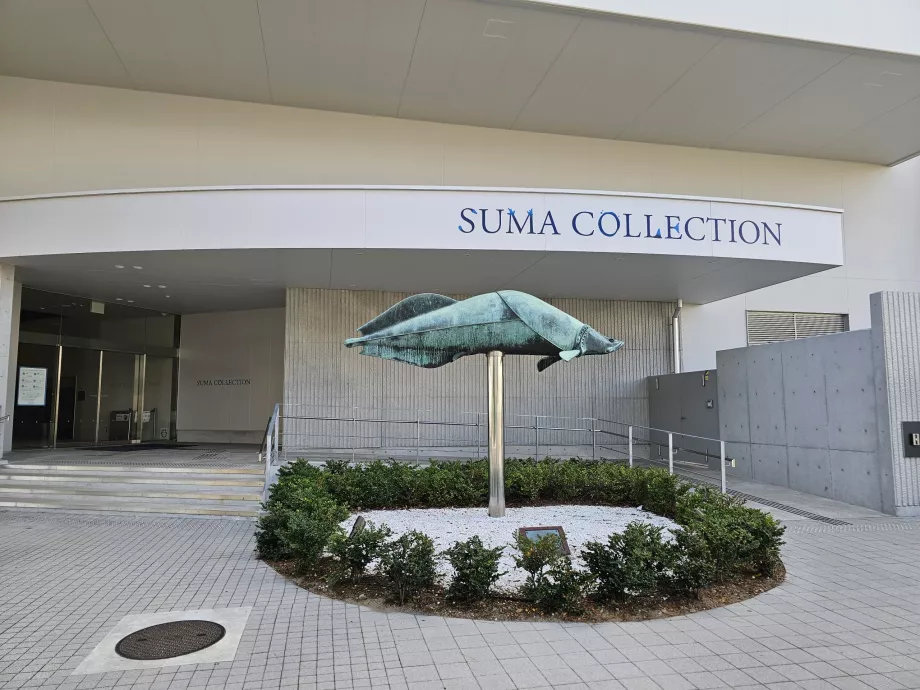 Suma za morský svet