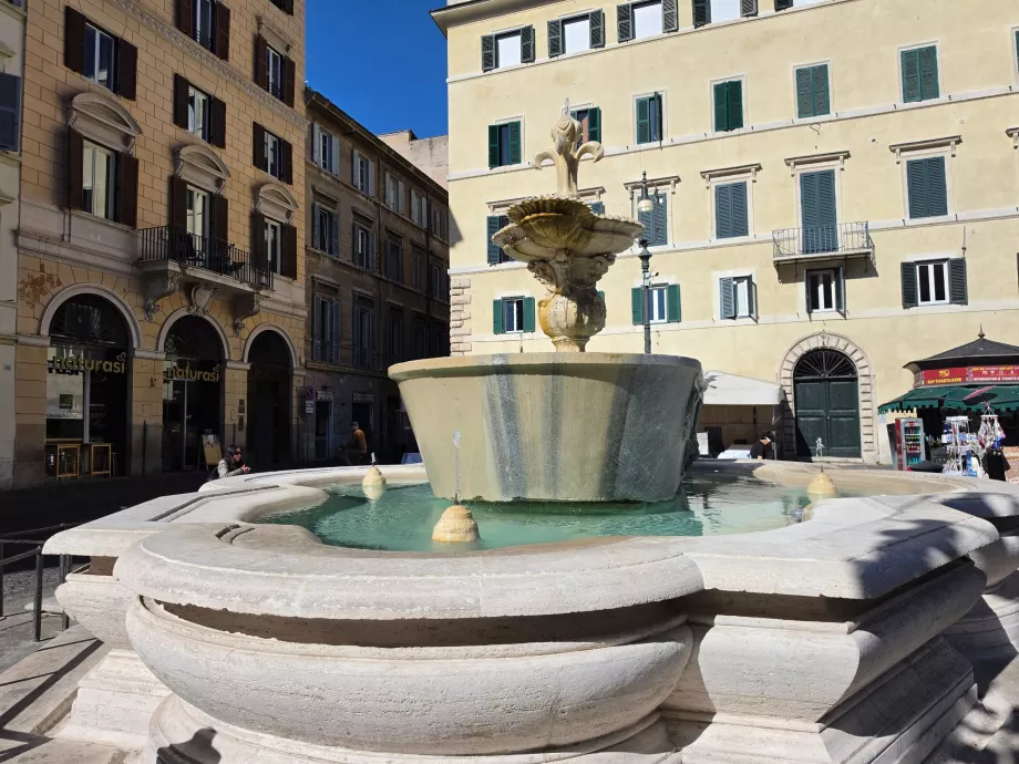 Campo de' Fiori, fontána