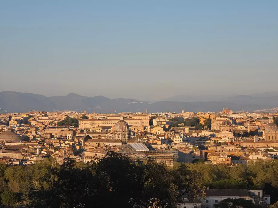 Giannicolo