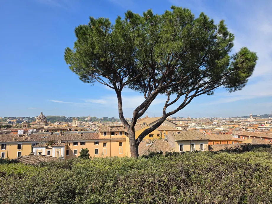 Galleria Colonna