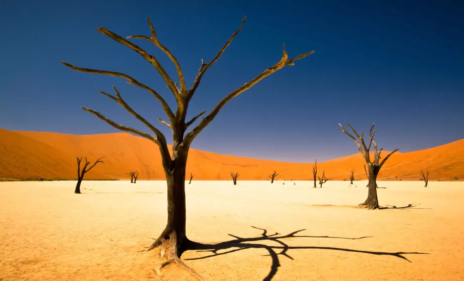 Sussusvlei Desert