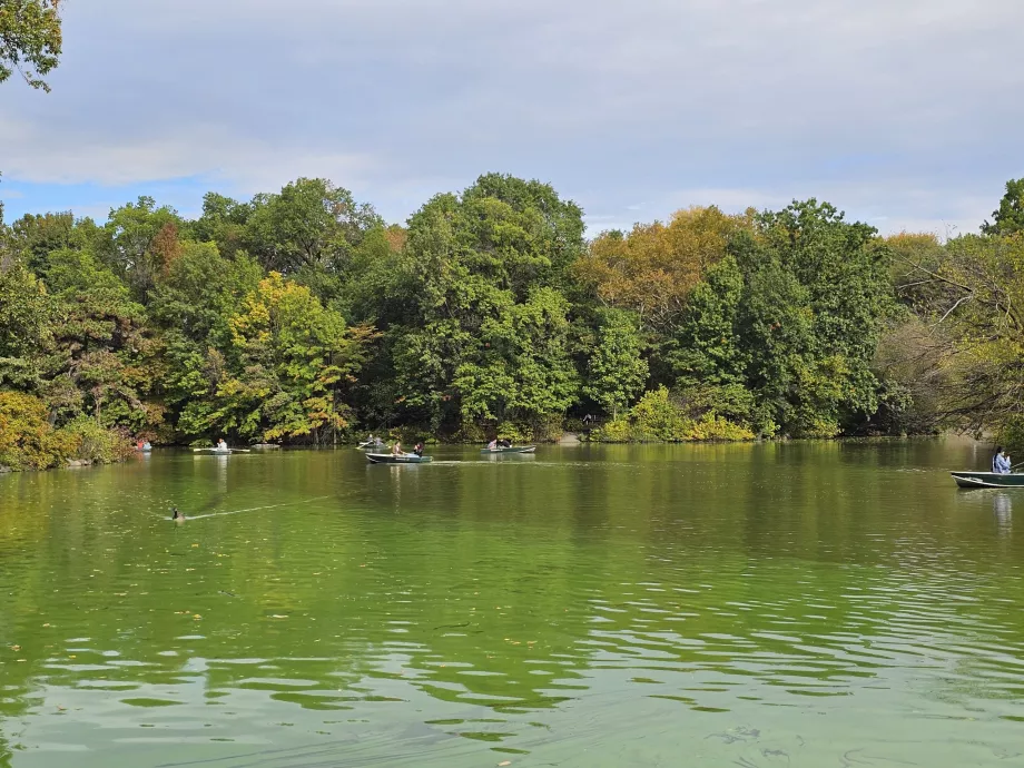 Jazero v Central Parku