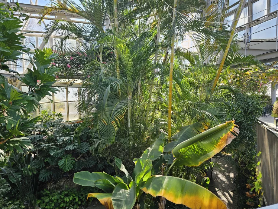 Skleník v bylinkových záhradách Nunobiki