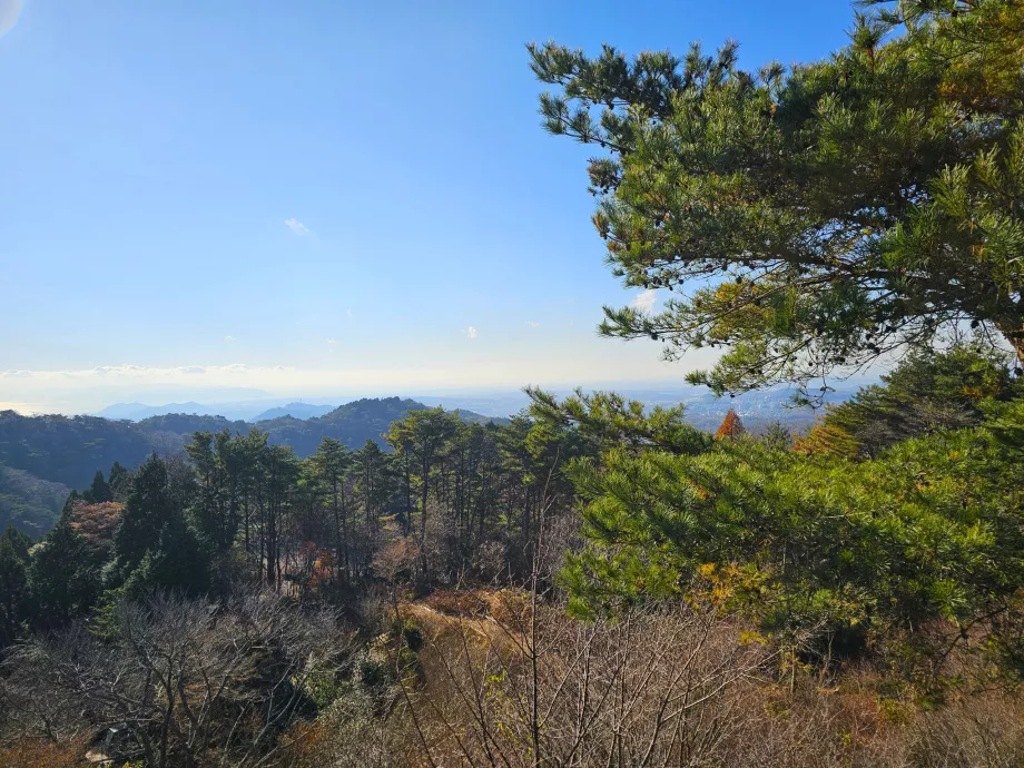 Chrám Tendžodži, pohľad