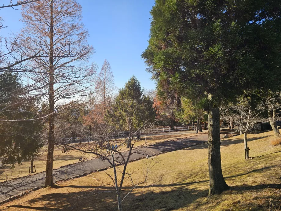 Rokkosanské pastviny