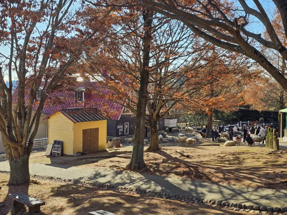 Rokkosanské pastviny