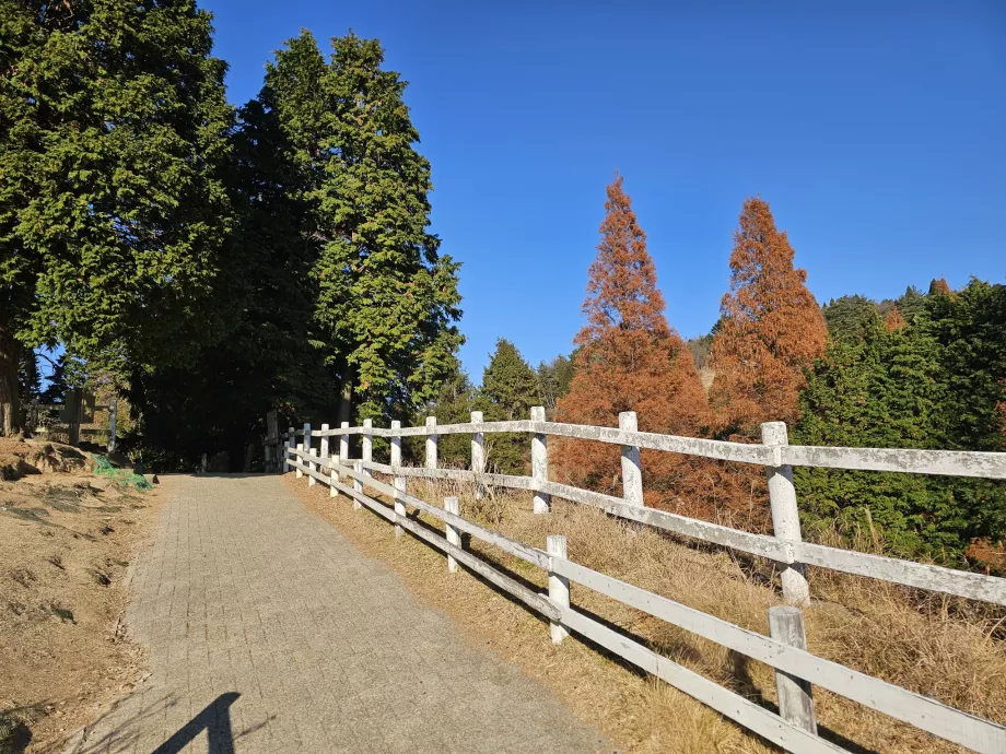 Rokkosanské pastviny