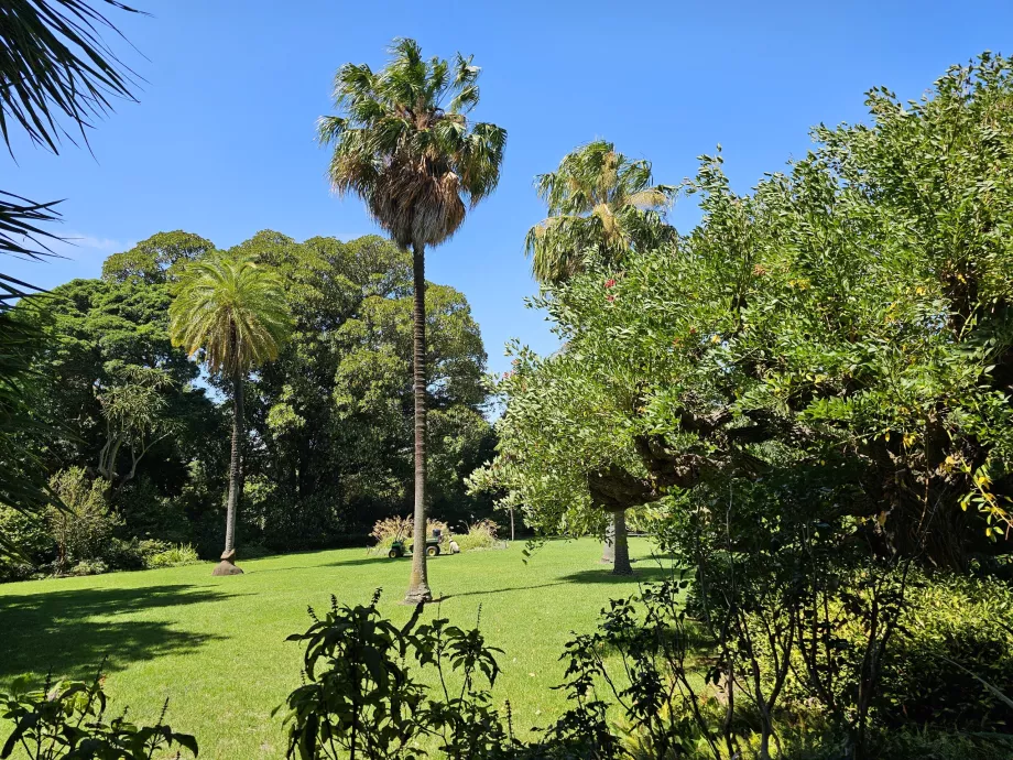 Kráľovské botanické záhrady