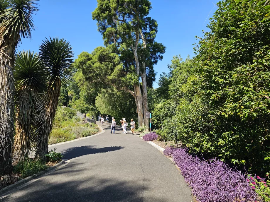 Kráľovské botanické záhrady