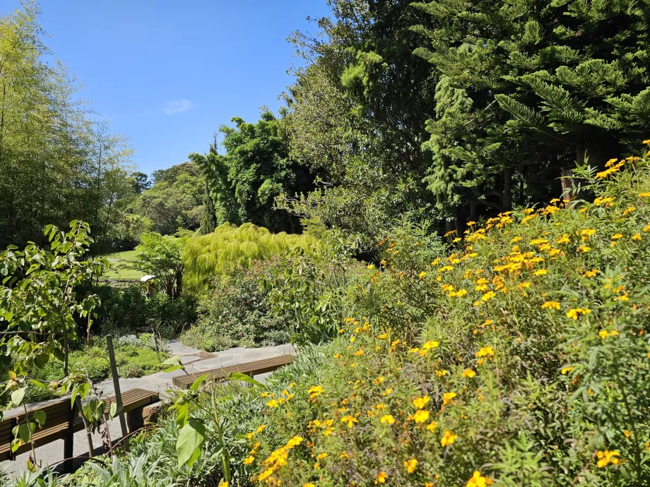 Kráľovské botanické záhrady