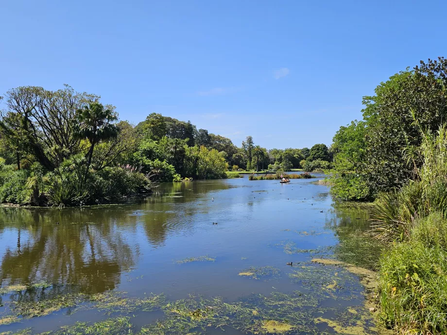 Kráľovské botanické záhrady