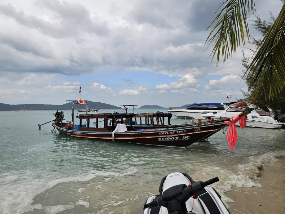 Lode na ostrove Pig Island