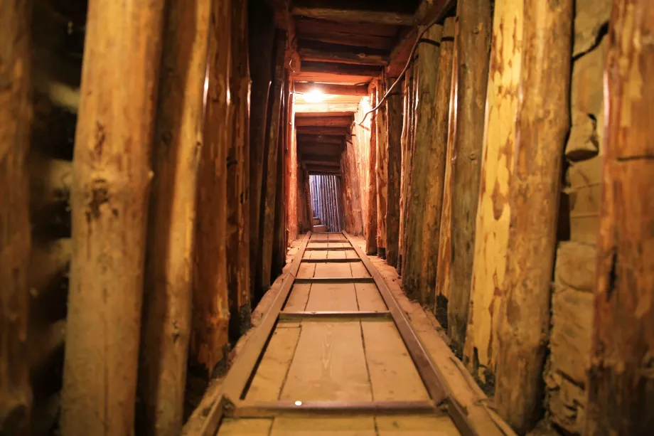 Tunel spásy