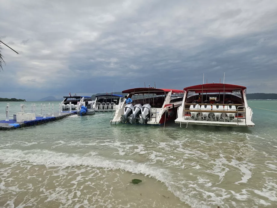 Turistické lode na Ostrove ošípaných